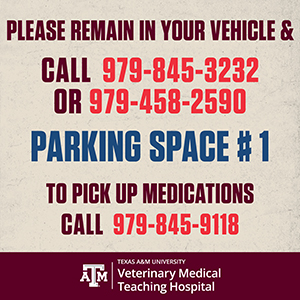 parking sign reads Please remain in your vehicle & call 979-845-3232 or 979-458-2590 Parking Space #1 To pick up medications call 979-845-9118 • Texas A&M University Veterinary Medical Teaching Hospital logo