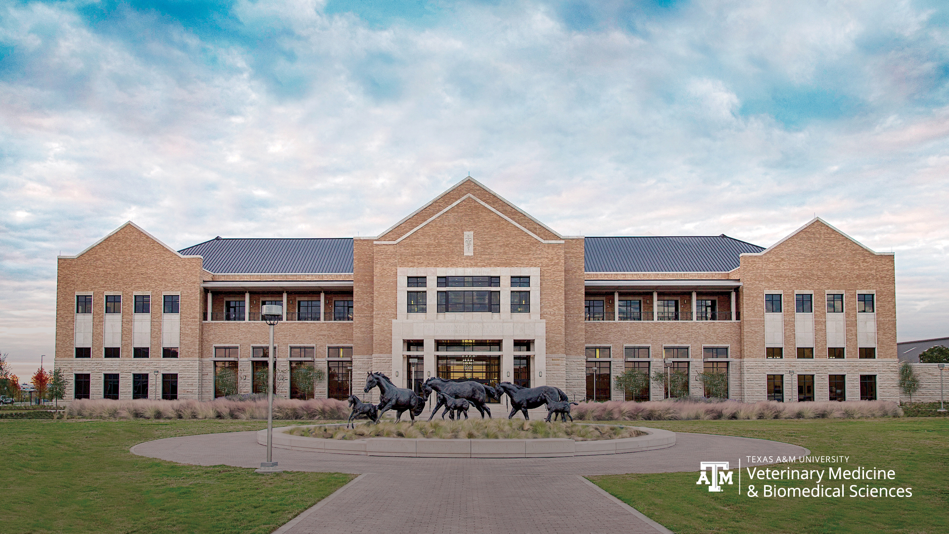 Remote Access Texas A M College Of Veterinary Medicine