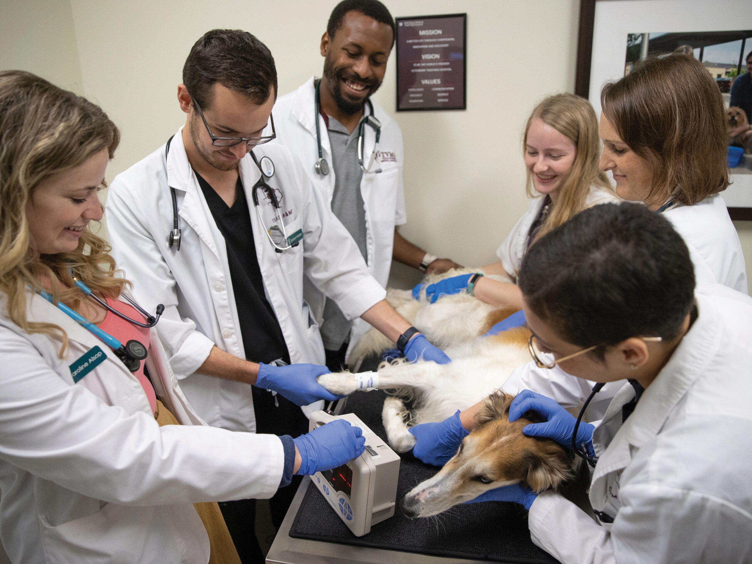 VMBS Envisioning New, Next-Generation Small Animal Teaching, Research Hospital