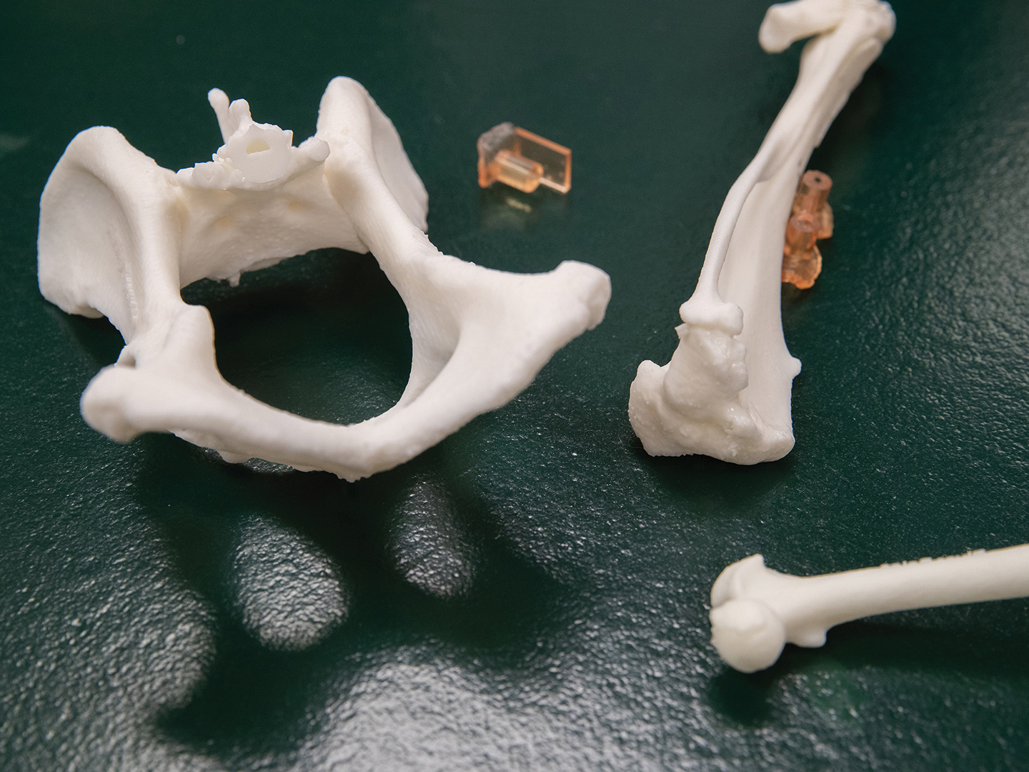 3D Printing, Motion-Tracking Technology Create New Treatment Options For Veterinary Orthopedic Patients