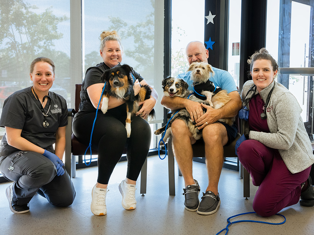 Texas A&M Veterinarians Help Dogs Make Miraculous Recovery After House Fire