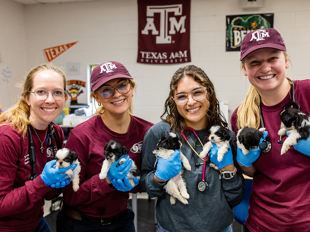 Texas A&M Veterinary Emergency Team Receives $5M in State Funding To Support Disaster Relief Efforts