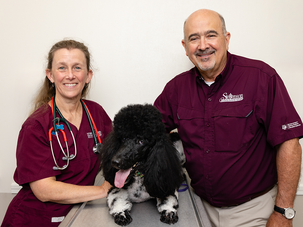 Creating A Brighter Future For Pets: Texas A&M Stevenson Center Supports Canine Longevity Research, Veterinary Education
