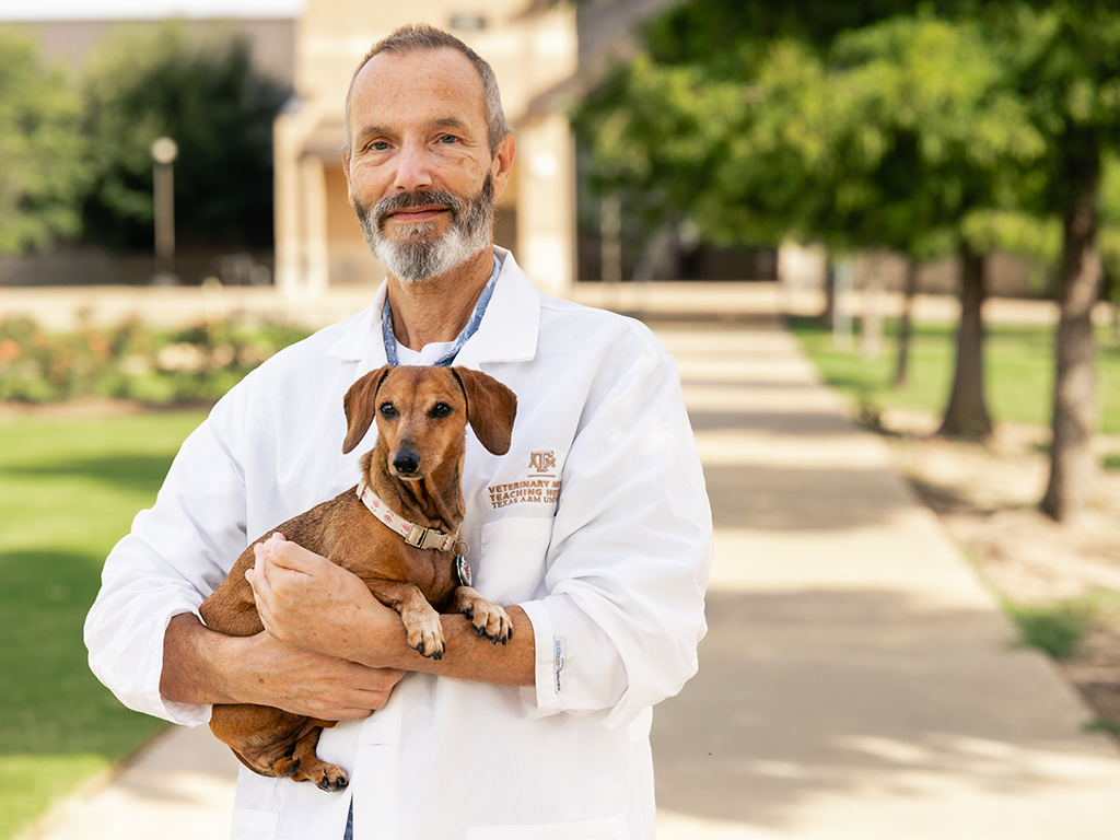 Success Of Texas A&M-Led Clinical Trial Offers New Hope For Dogs With Herniated Discs