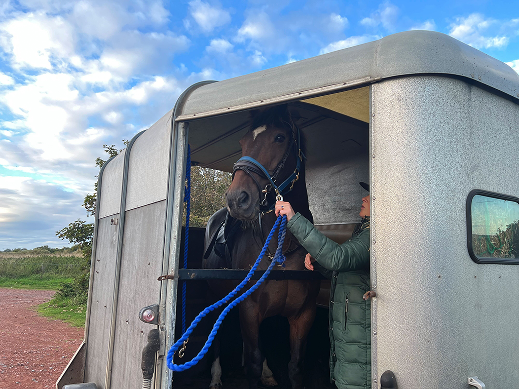 Taking Stock For Disasters: Developing A Large Animal Preparedness Plan