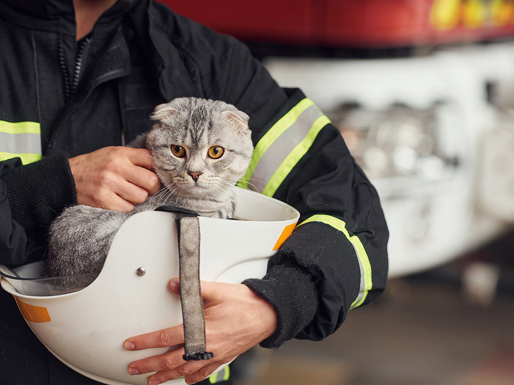 Setting Your Home Up For Success: Small Animal Owner Fire Awareness